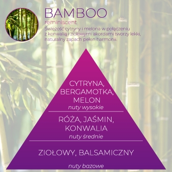 <B>BAMBOO</B> SPRAY 250 ml odświeżacz powietrza PREMIUM